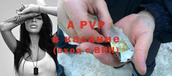 индика Беломорск